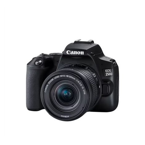 Canon EOS | 250D | Obiektyw EF-S 18-55mm IS STM | Brązowy | Srebrny - 9
